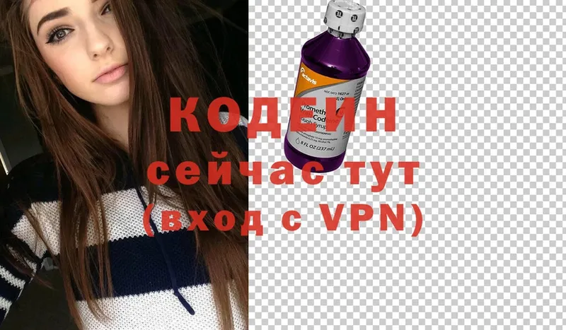 hydra ТОР  Бакал  Кодеин Purple Drank 